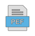 pef file document icon vector image vector image
