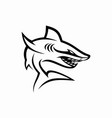 shark logo template vector image