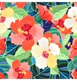 tropical colorful hibiscus pattern vector image