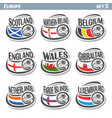 logo for european football ball flag vector image