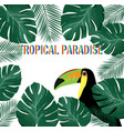 tropical paradise vector image