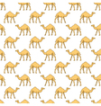 camels pattern vector image