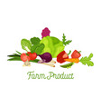 farm product promotional poster with fresh harvest vector image