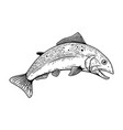 set salmon fish in engraving style design vector image