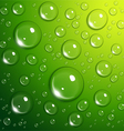 water drops vector image vector image