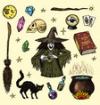 halloween elements magic ball witch with book vector image vector image