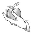 human hand with apple drawn in engraving style vector image