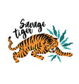 savage tiger tiger vector image vector image