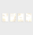 set of golden floral covers templates placards vector image