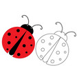 ladybug coloring page game for kids vector image