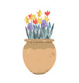 vintage clay pot with spring flowers tulips vector image vector image