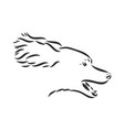 dog hand drawn english setter isolated vector image vector image
