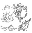 sea shells icon vector image vector image