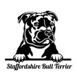 staffordshire bull terrier peeking dog - head vector image