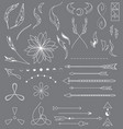 wild-collection vector image