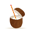 coconut vector image