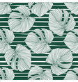 tropical pattern botanical leaf backdrop monstera vector image