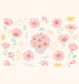 petal and flowers vector image vector image
