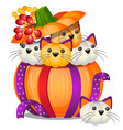 diy pumpkin in the form of small kittens isolated vector image