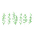 green hand drawn branches with leaves collection vector image vector image