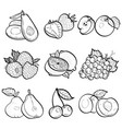 set collection doodle of fruit vector image