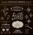 calligraphic design elements vintage set ornament vector image