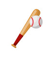 baseball bat isolated icon vector image