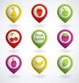 fruit icons vector image