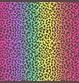 rainbow cheetah seamless pattern leopard neon vector image