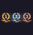 award wreaths set vector image