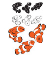 clown fish vector image vector image