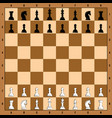 chess board with piece template icons graphic vector image vector image