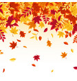 autumn falling leaves nature background with red vector image