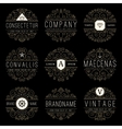 luxury logo templates set in vintage style vector image