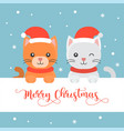 cute kittens flat design merry christmas poster vector image vector image