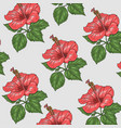red flower vector image vector image