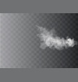 transparent special effect stands out with fog vector image