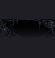 realistic spider web isolated on black background vector image