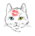 beautiful white cat face with different eyes color vector image vector image