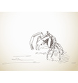 sketch of crab vector image