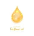 drop of oil isolated on white background vector image