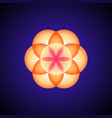 mandala sacred geometry vector image vector image