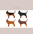 bloodhound clipart different coat colors vector image vector image