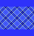 check seamless textile of fabric pattern plaid vector image