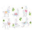 cute lama alpaca animal vector image
