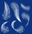 flying white feather vector image vector image