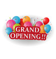 grand opening celebrations background vector image