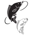 carp fish vector image