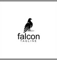 falcon logo silhouette design eagle bird black vector image
