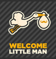 stork baby boy shower greeting card vector image